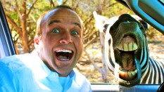 chet with smiling zebra
