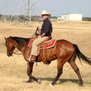 Fort Worth, TX