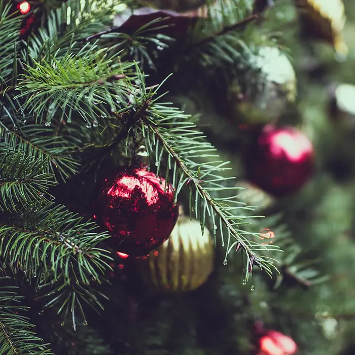 Christmas Festivals in Texas