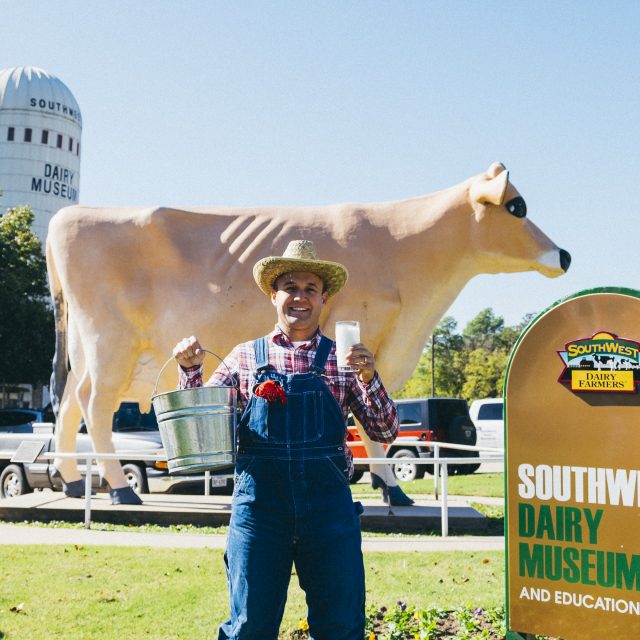 Sulphur Springs, TX The Daytripper