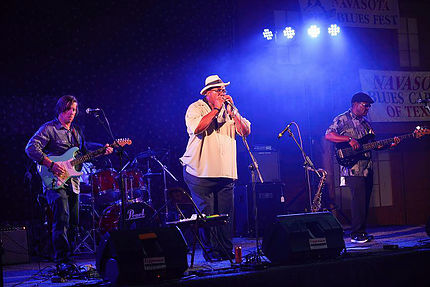 Picture by Navasota Blues Fest