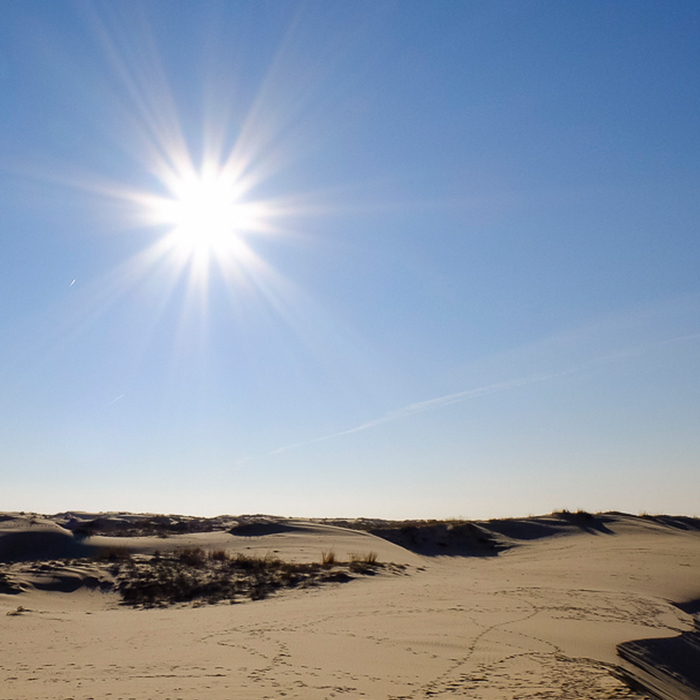 what is the hottest part of the day in texas today