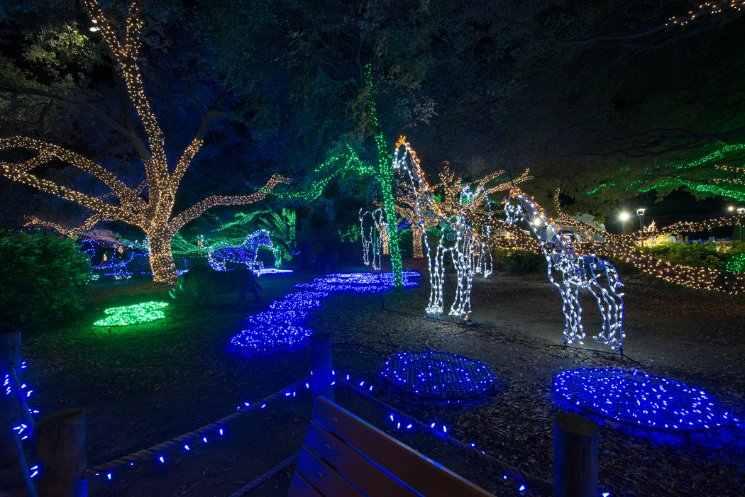 Christmas Festivals in Texas The Daytripper