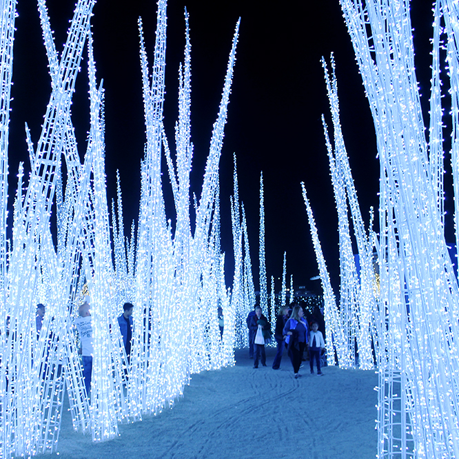 Enchant Christmas Magic in Arlington! The Daytripper