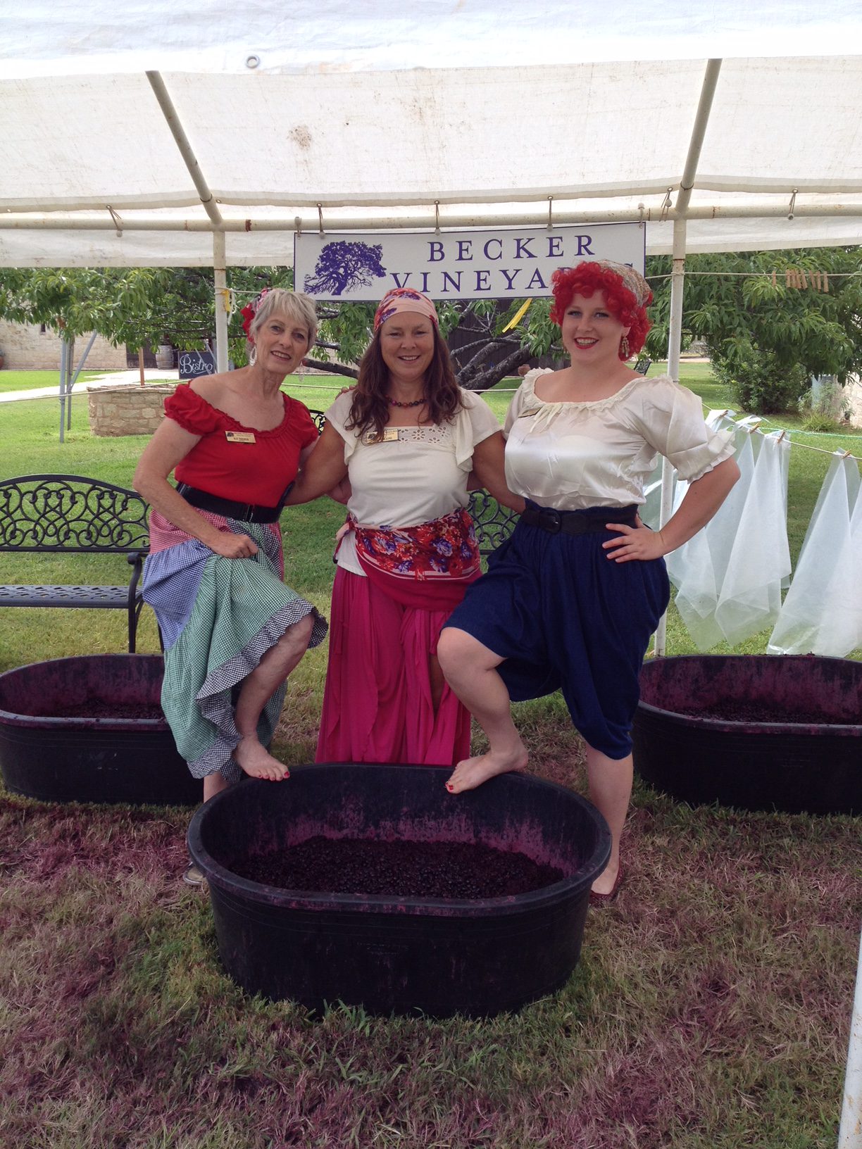 Texas Grape Stomping Festivals The Daytripper