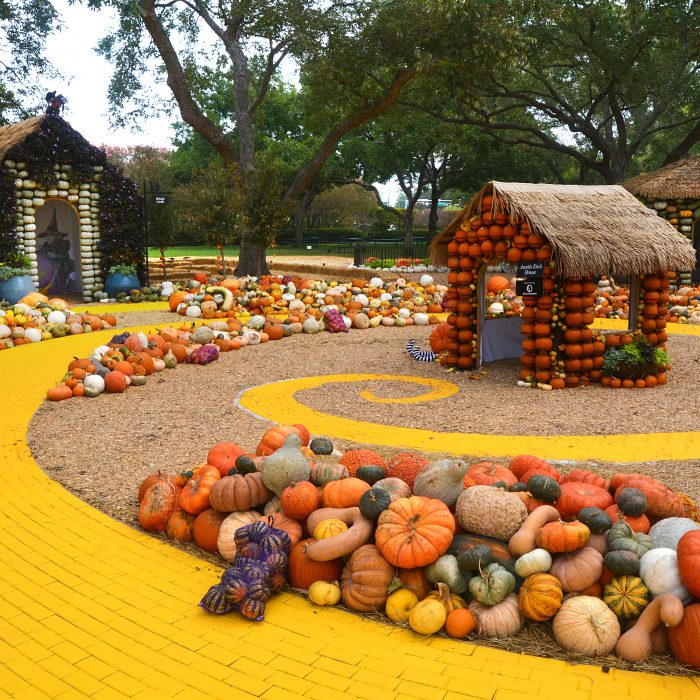 2019 Texas Pumpkin Patches The Daytripper