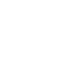 daytripper_image